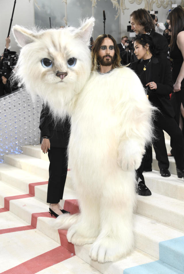 Karl Lagerfeld Would Marry His Cat Choupette If It Were Legal