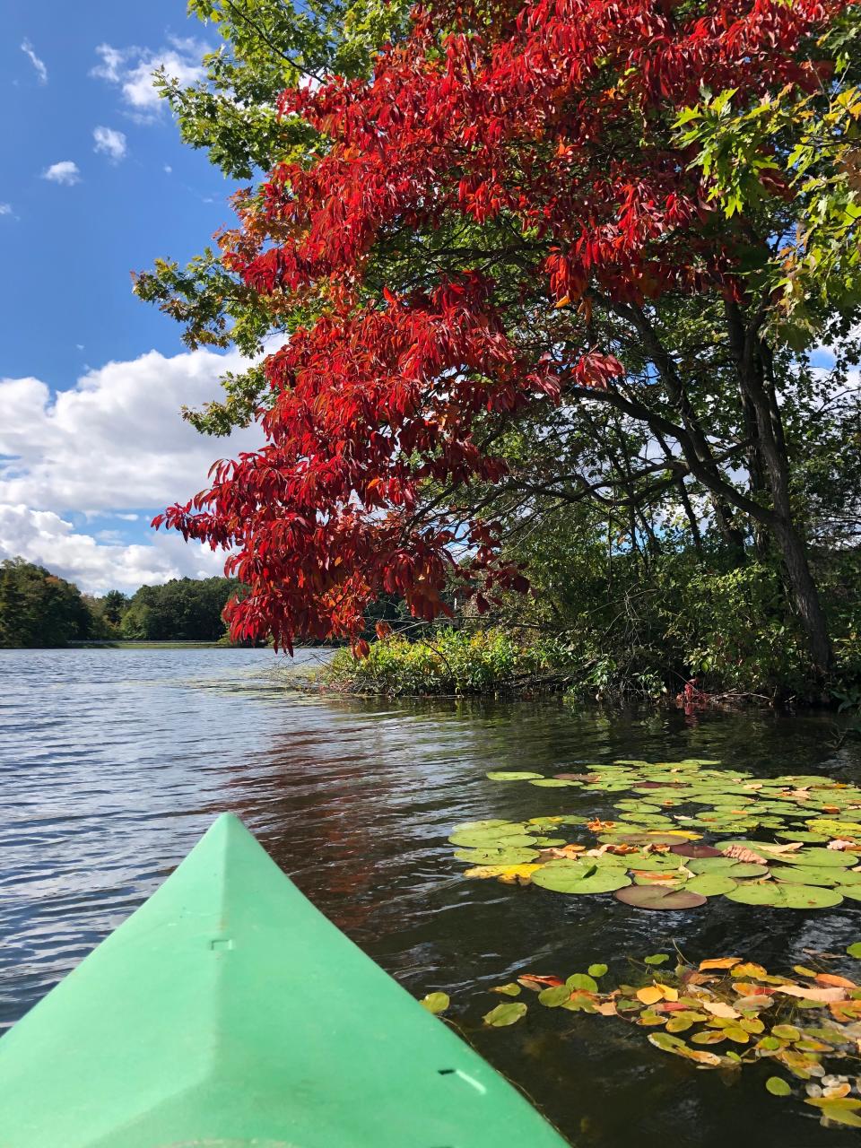Fall colors strike the shore of an island on Hall Lake last week in Michigan's Yankee Springs Recreation Area.