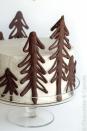 <p>These tiny trees are easy to make. All you have to do is pipe melted chocolate onto a nonstick surface (foil will work) and put it in the fridge. Once cool, pop the trees off the foil and attach them to the side of your cake with a little bit of frosting.</p><p><strong>Get the recipe at <a href="http://chocolateandcarrots.com/2011/03/chocolate-raspberry-forest-cake-birthday" rel="nofollow noopener" target="_blank" data-ylk="slk:Chocolate & Carrots;elm:context_link;itc:0;sec:content-canvas" class="link ">Chocolate & Carrots</a>.</strong></p>