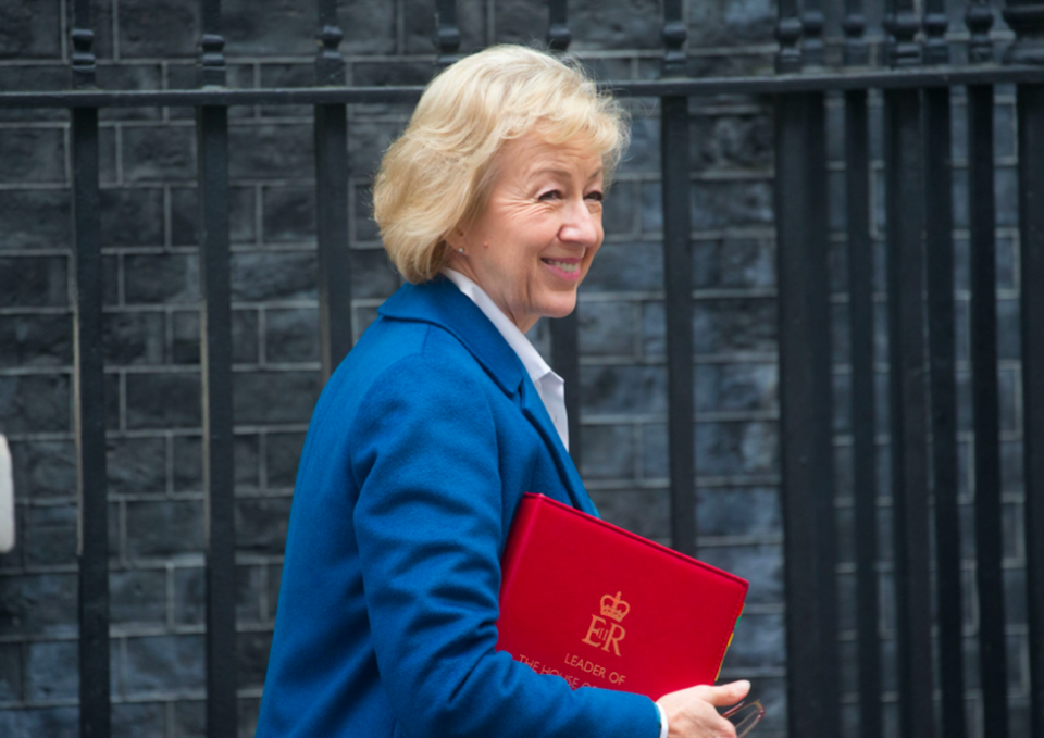 <em>Leader of the Commons Andrea Leadsom said that ministers would be sacked for inappropriate behaviour (Rex)</em>