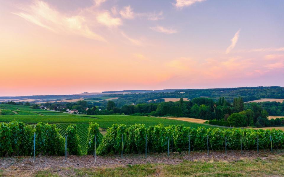 There are worse ways to spend your time than sampling French wines - GETTY