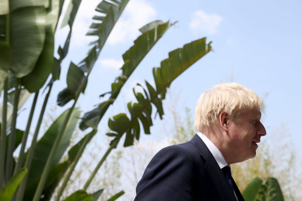 Prime Minister Boris Johnson (Dan Kitwood/PA) (PA Wire)