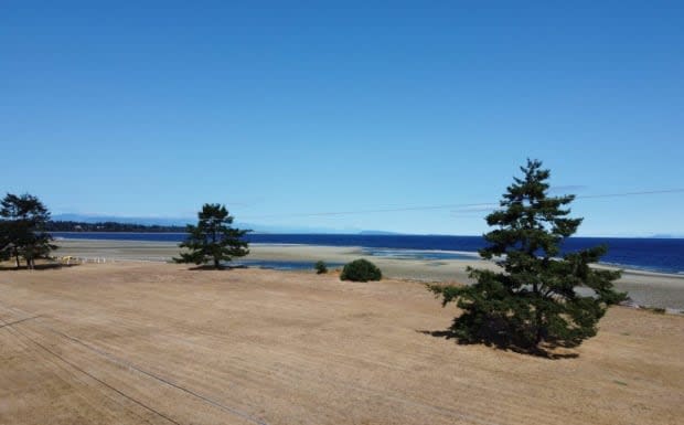 A $6 million donation to the Nature Trust of British Columbia will go to enhancing the Englishman River Estuary and creating a public access nature park. (The Nature Trust of British Columbia - image credit)