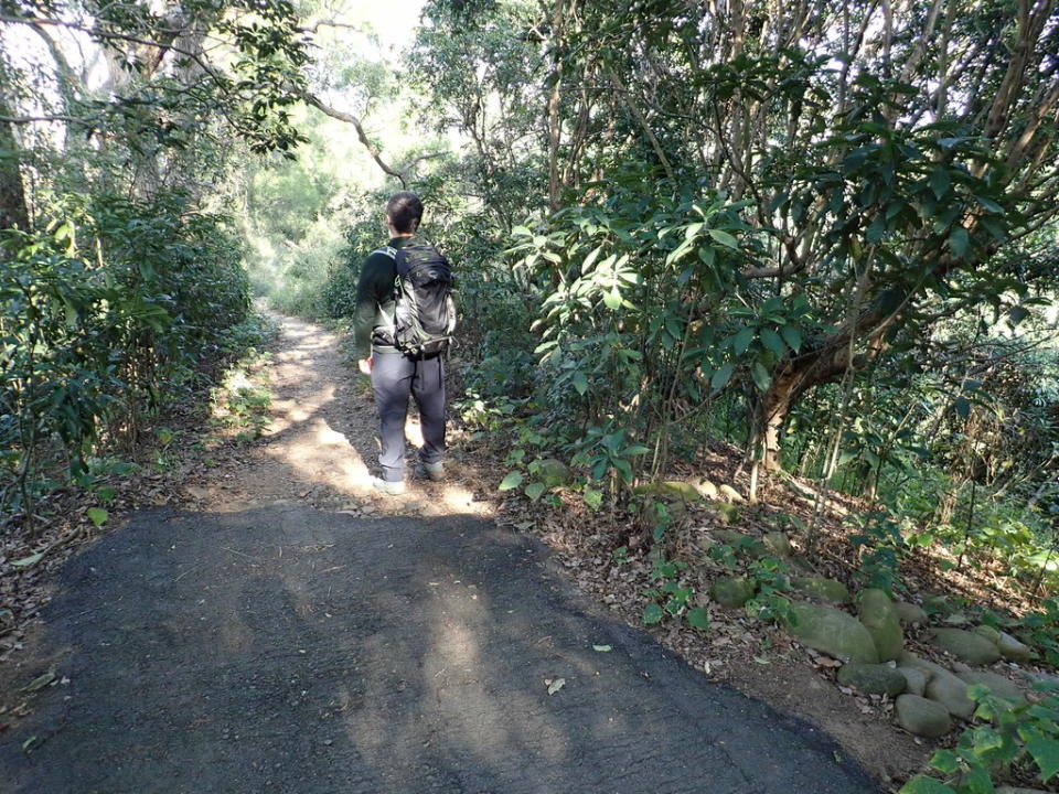 挑水古道＋碧山古道