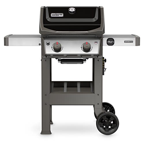 Weber Spirit II E-210 2-Burner Liquid Propane Grill (Amazon / Amazon)