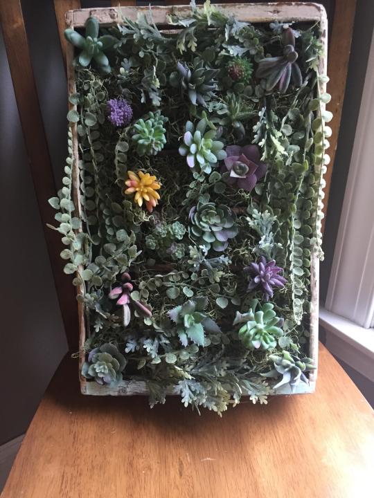 Ashley Martin, a teacher and part time crafter in Green Township, N.J., created this display out of a scrounged wooden soda bottle crate and a collection of succulents. Martin says she's always loved doing arts and crafts projects, but she really became obsessed with cottagecore décor when she and her husband bought an 1850s farmhouse. Turning her ideas into custom art and signs became a side gig for her, and she's busy working on orders for the holidays now. I really enjoy working on something creative any time that I can. For me, it's an outlet." (Ashely Martin via AP)