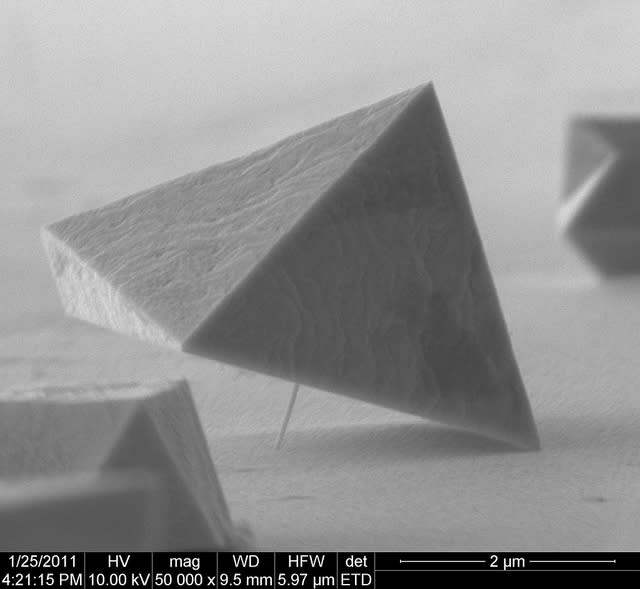 2012 FEI Electron Microscope Photo Contest