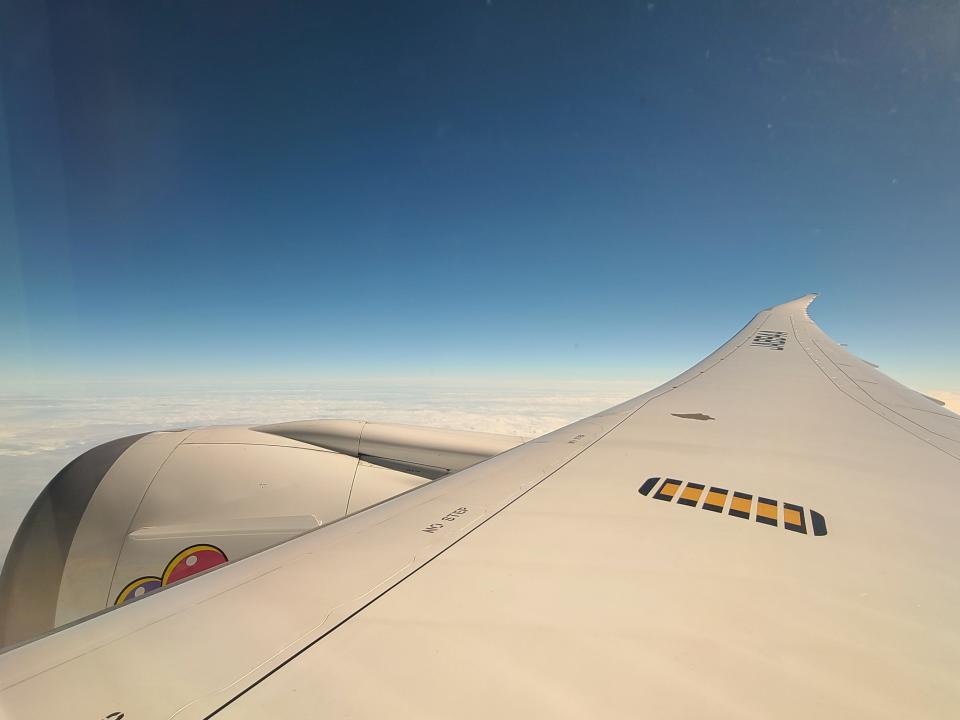 View over wing on Pokemon plane 