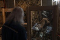 Alan Salazar, a tribal member of the Fernandeño Tataviam Band of Mission Indians, looks at a taxidermy of a mountain lion at a museum in Thousand Oaks, Calif., Wednesday, Feb. 1, 2023. In tribal communities here, mountain lions are regarded as relatives and considered teachers, according to Salazar. (AP Photo/Jae C. Hong)