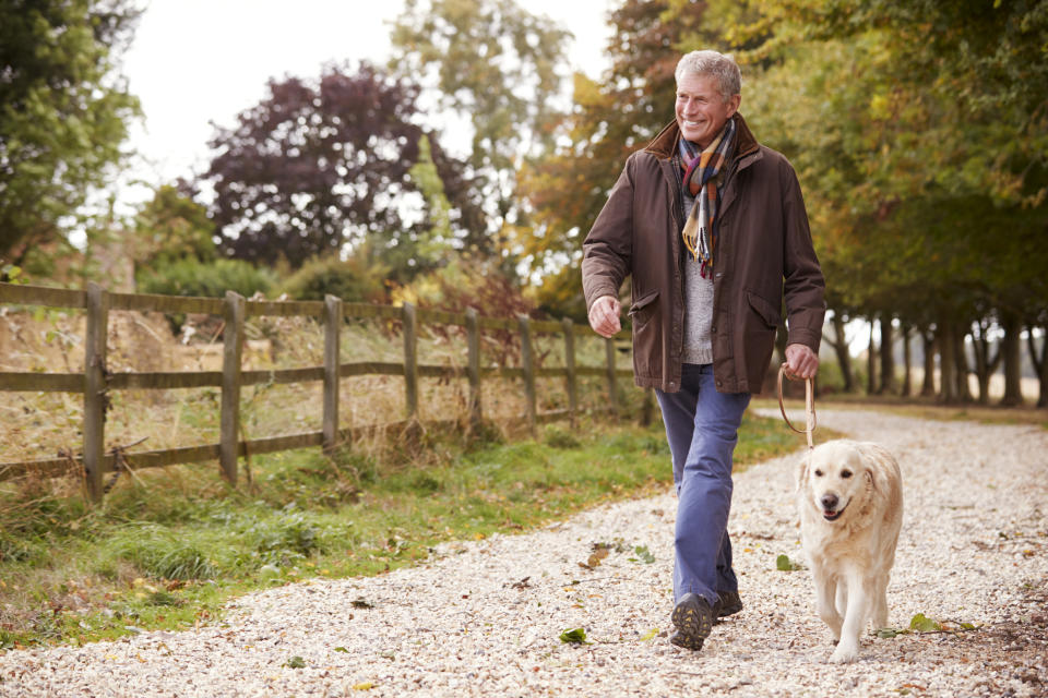 Older man walking a dog