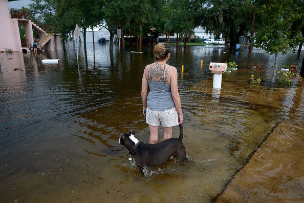 TARPON SPRINGS, FLORIDA - AUGUST 30: Kyan Watson and her dog Brandon look out at the flood waters from Hurricane Idalia surrounding their house on August 30, 2023, in Tarpon Springs, Florida. Hurricane Idalia is hitting the Big Bend area on the Gulf Coast of Florida.