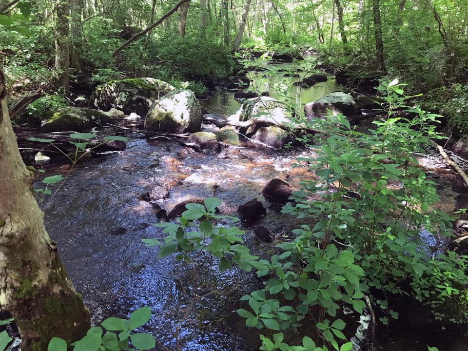 The Beaver River flows for 11 miles from James Pond in Exeter to the Pawcatuck River.