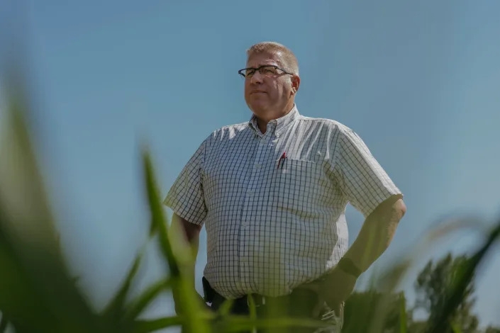 Darren Bailey, a farmer and the front-runner in the Republican primary for governor of Illinois, in a corn field in Green Valley, Ill., June 20, 2022. (Jamie Kelter Davis/The New York Times)