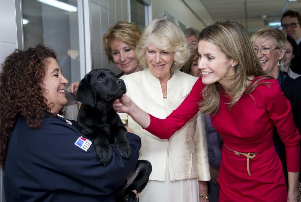 <p>Princess Letizia of Spain and Camilla, Duchess of Cornwall, meet a puppy during a visit the Guide Dogs Centre in Madrid.</p>