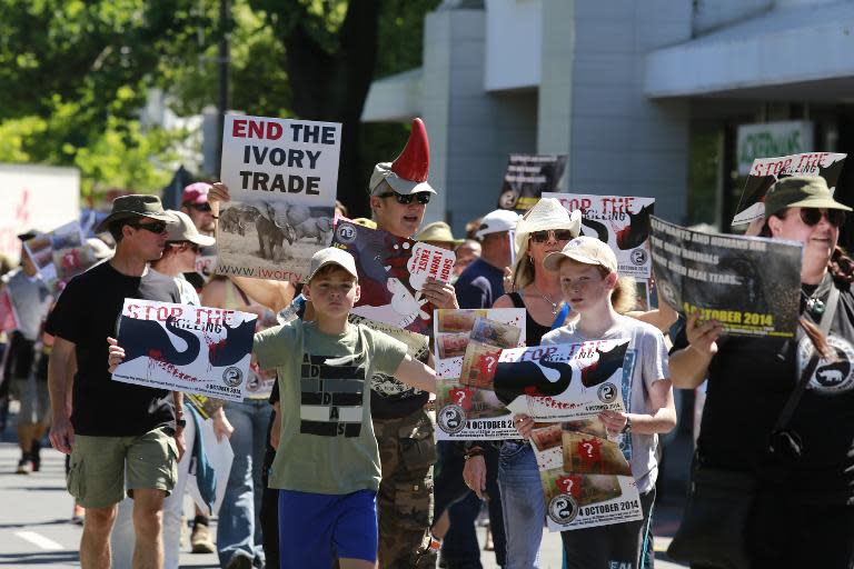 People carrying placards calling for the end to the ivory trade walk through the streets of Stellenbosch during the Global March for Elephants and Rhinos in Cape Town on October 4, 2014