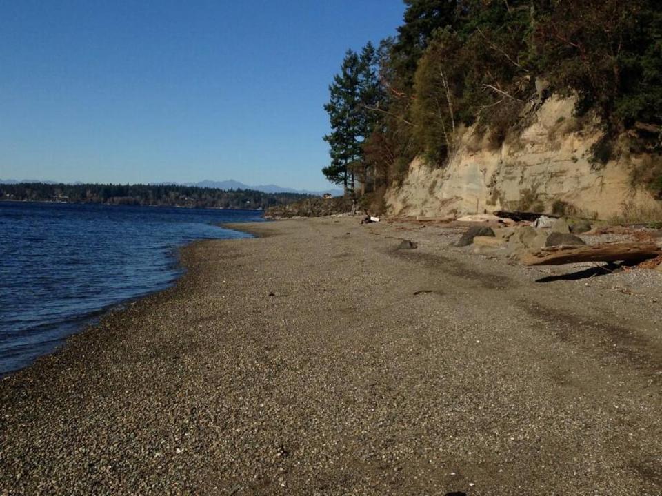 Burfoot County Park’s trail leads to 1,000 feet of shoreline on Budd Inlet.