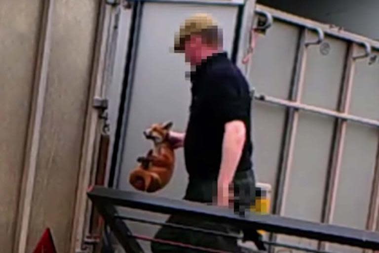 Senior huntsman who allowed hounds to kill fox cubs avoids jail