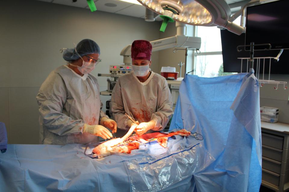 Southeast Technical College students and instructors work Thursday, April 11, 2024 in the new Healthcare Simulation Center.