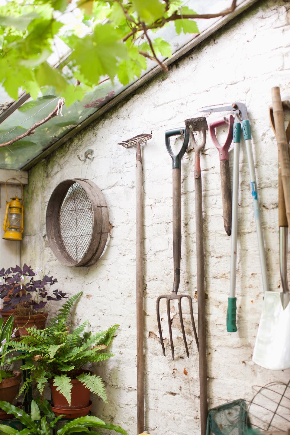 Tool, Garden tool, Iron, Rake, Kitchen utensil, Natural material, Hand tool, Pitchfork, Cutting tool, 