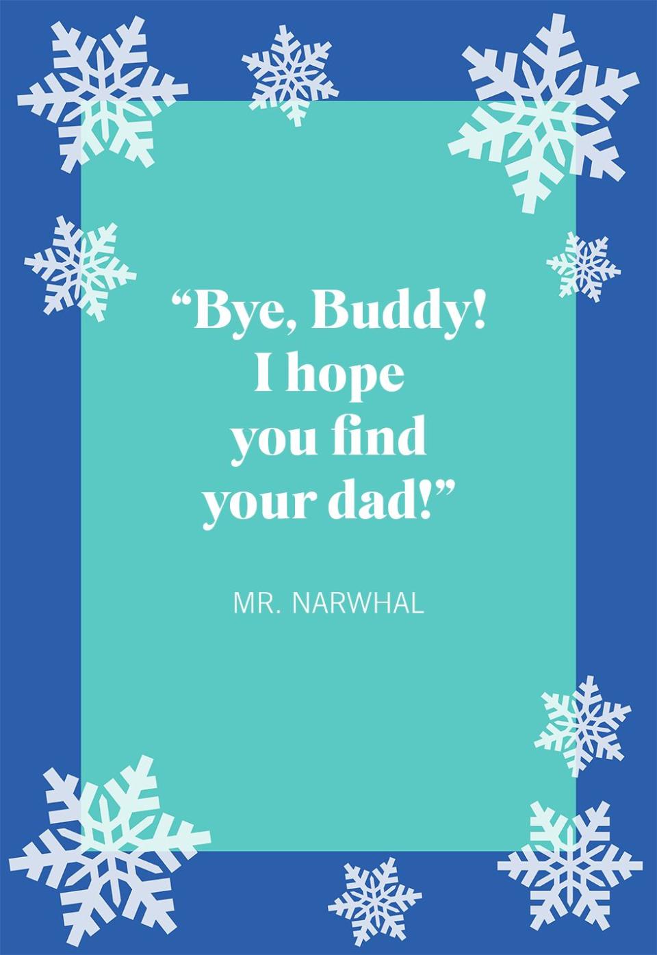 Mr. Narwhal