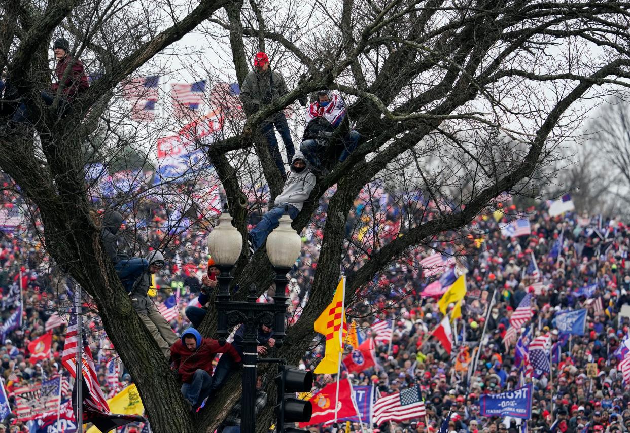 People watch from a tree as President Donald Trump speaks during a rally Wednesday, Jan. 6, 2021, in Washington.