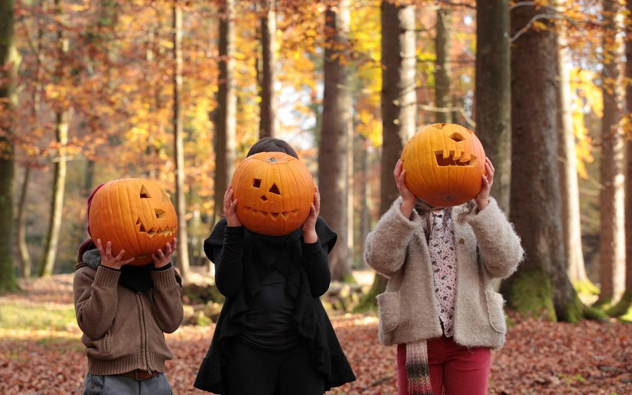 Children with pumpkins in front  of their faces - susan.k./ Getty Images Contributor