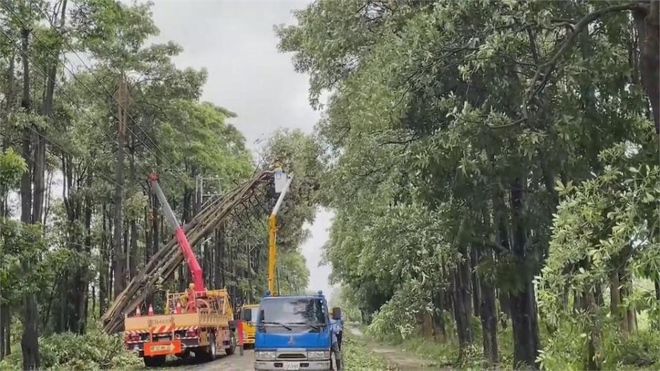 「海葵」颱風發威！　民眾拍到「垃圾桶在大馬路上跑」