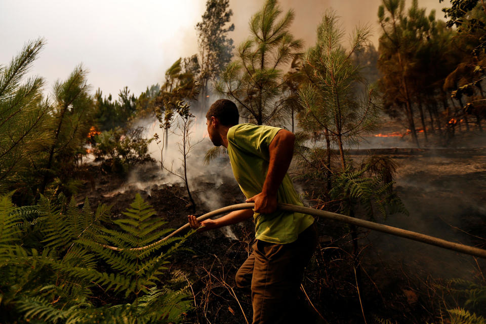 Wildfires ravage Portugal