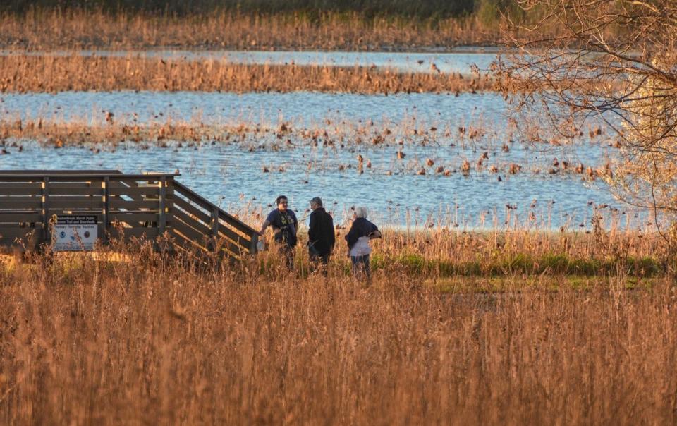 Visitors talk near the observation deck at Meadowbrook Marsh. Shores & Islands Ohio promotes visitor resources in Ottawa County, including information on lodging, dining, and parks such as Meadowbrook Marsh.