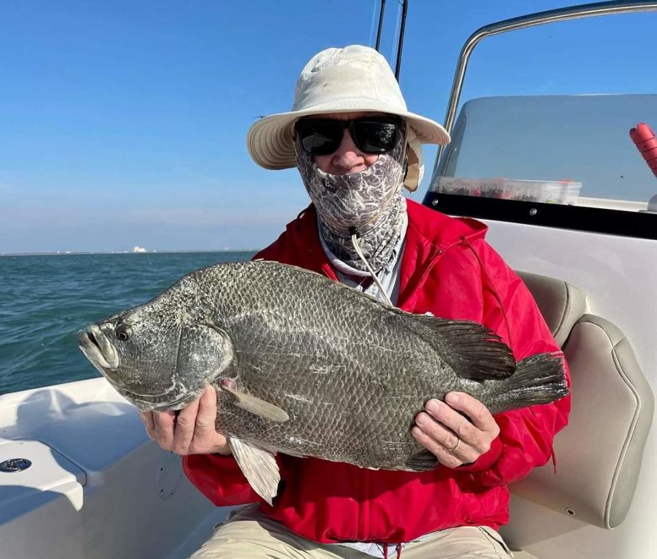 Tripletail are biting for customers of 2 Castaway charters in Titusville Capt. Jon Lulay. This one caught March 12, 2023 was just off Port Canaveral.