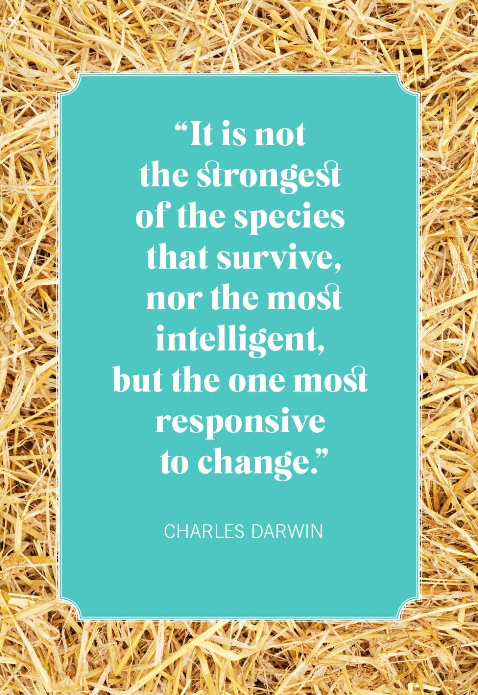 quotes about change charles darwin