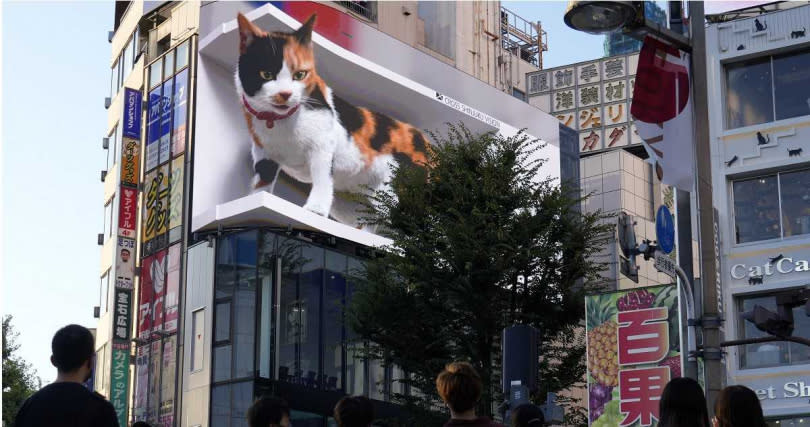 去年新宿車站也出現過3D三花貓的影像。（圖／達志／美聯社）