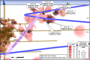 Figure 2: Longitudinal section looking North - Ramp Portal Zone