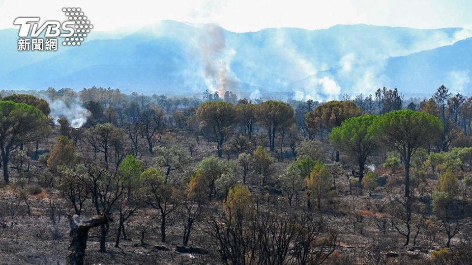 9000公頃森林面積被大火無情燒毀。（圖／達志影像美聯社）