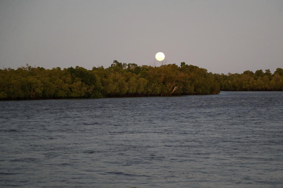 The moon shines over mangrove trees at Vanga, Kenya on Tuesday, June 14, 2022. Several mangrove forests across Africa have been destroyed due to coastal development, logging or fish farming, making coastal communities more vulnerable to flooding and rising sea levels. (AP Photo/Brian Inganga)