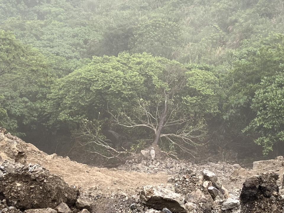 0422狂震不停 花蓮農業處長陳淑雯到壽豐鄉勘災農路受損情形。（圖：陳淑雯提供）