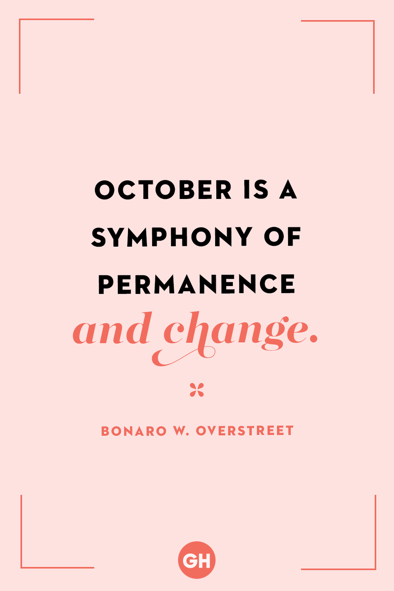 <p>October is a symphony of permanence and change.</p>