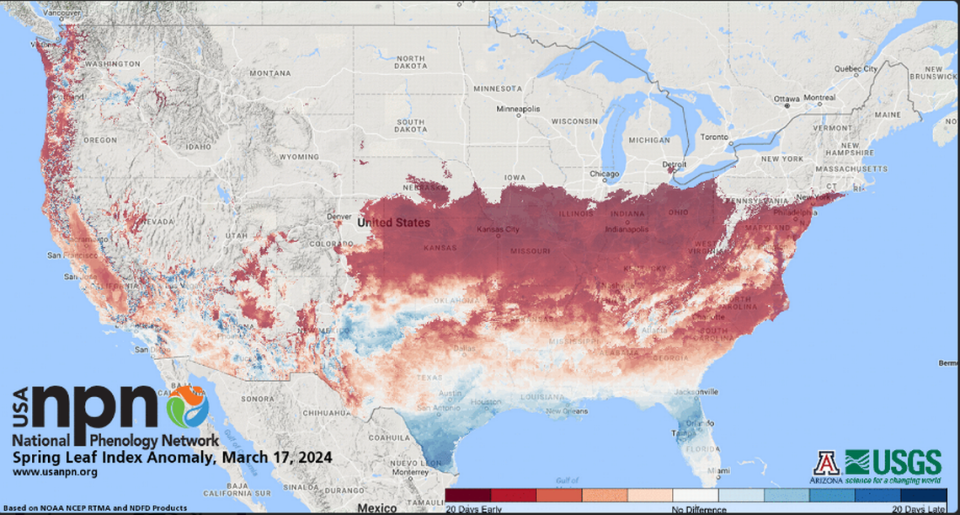 The spring leaf index shows how much earlier trees are budding and leafing. Georgia experienced leafing up to 20 days early.