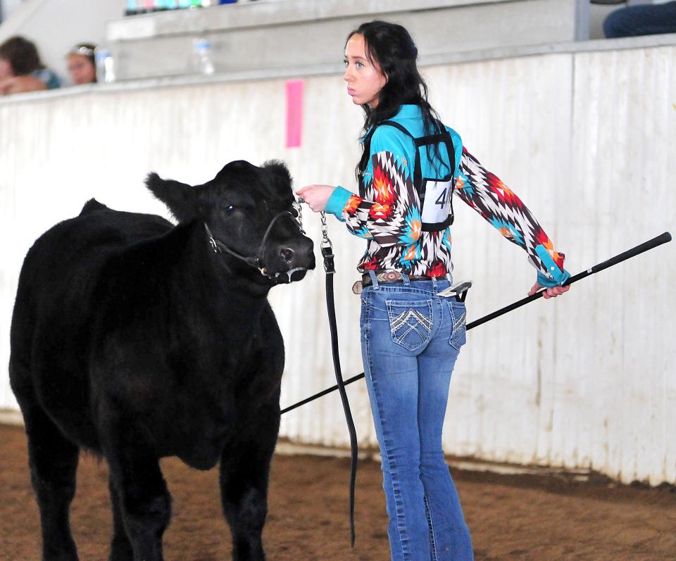 Leah Dickson walks with her beef feeder calf during the Beef Breeding and Feeder Calf Show in the Coliseum on Thursday.