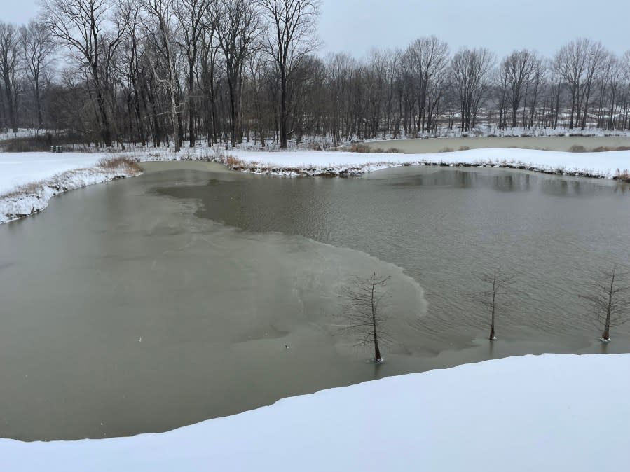 This pond was freezing up in Southaven near Stateline Road.