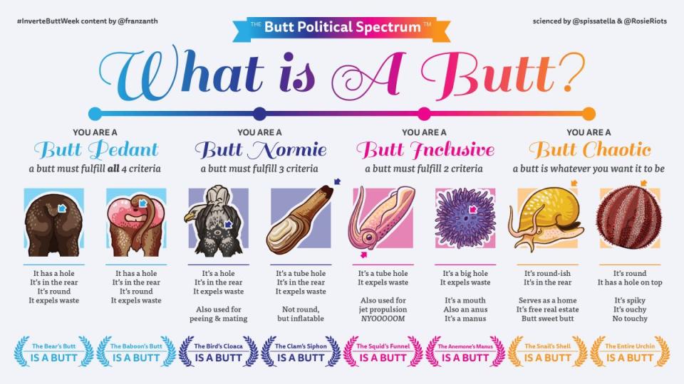 Infographic describing a spectrum of butts in the animal kingdom