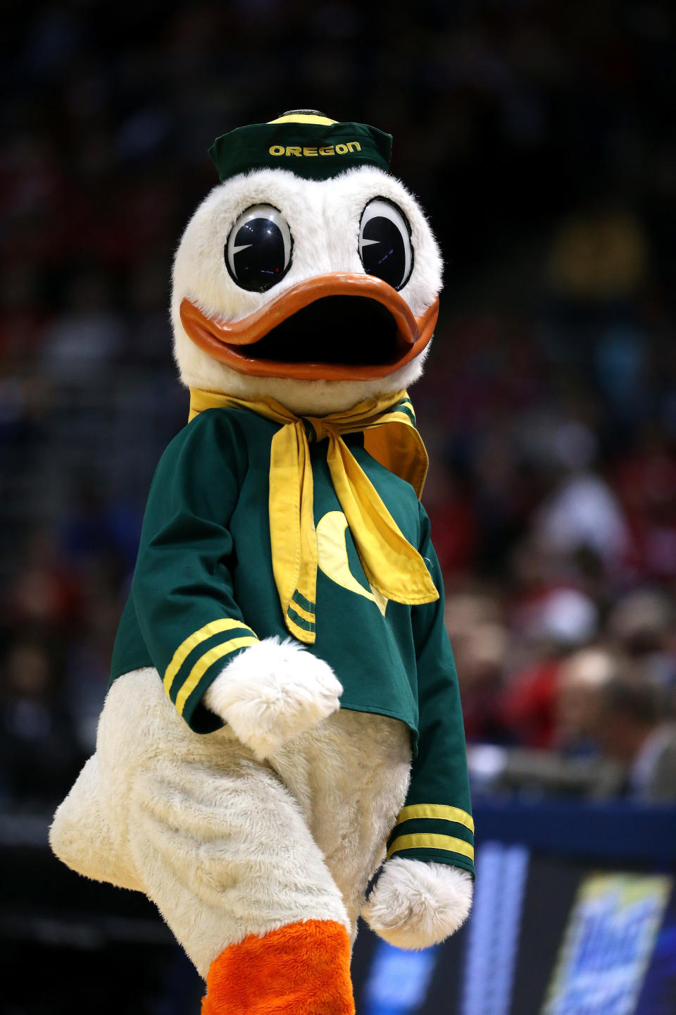 MILWAUKEE, WI - MARCH 20:  The Oregon Ducks mascot performs during the second round game of NCAA Basketball Tournament against the Brigham Young Cougars at BMO Harris Bradley Center on March 20, 2014 in Milwaukee, Wisconsin.  (Photo by Jonathan Daniel/Getty Images)