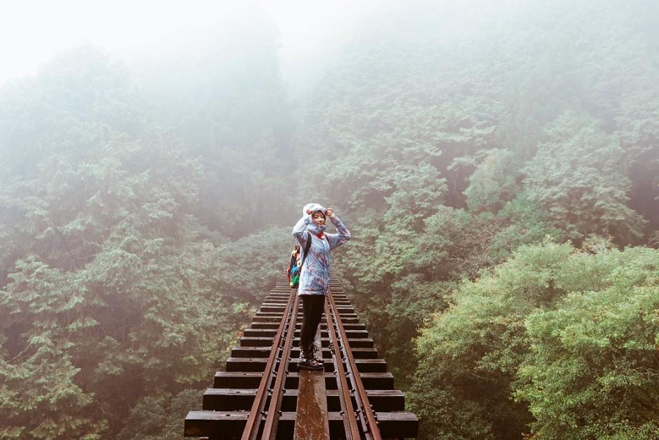 ▲陳依依期望下次能再來一次更深入的阿里山之旅。