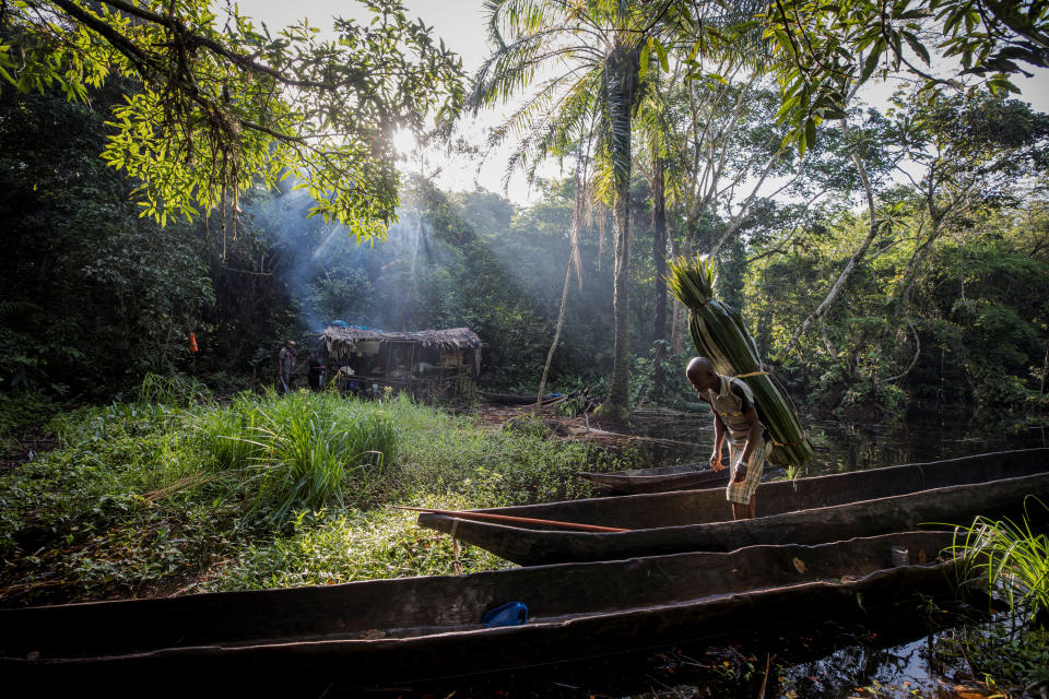 La caza de animales salvajes en el Congo amenaza con destruir la fauna de la región