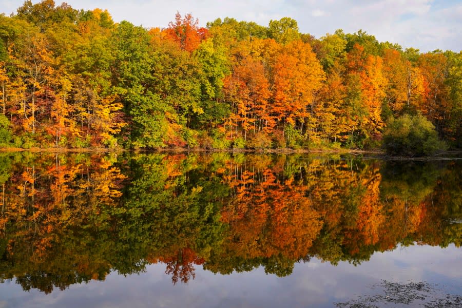 Fall foliage is reflected on the surface of Lilly Lake in Eagle Creek Park in Indianapolis, Tuesday, Oct. 11, 2022. (AP Photo/Michael Conroy)