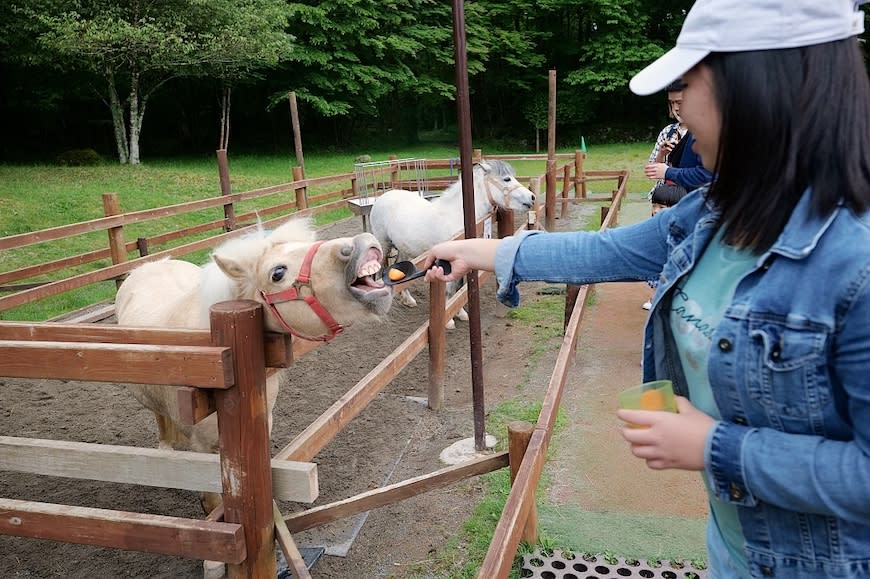 日本富士野生動物園Fuji Safari Park