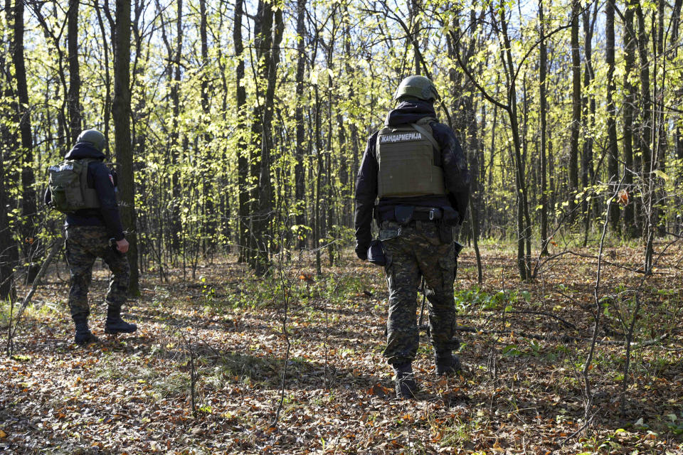 In this photo provided by the Serbian Interior Ministry, Serbian gendarmerie officers look for migrants in a forest near the border between Serbia and Hungary, Serbia, Thursday, Nov. 2, 2023. Serbian police said Friday, Nov. 3, 2023 they made seven arrests on suspicion of smuggling people into Hungary as part of a days-long crackdown on irregular migration in the wake of a shooting last week in the border area that killed three migrants and wounded one. Reports of violence and gun battles have become common near the border between Serbia and Hungary, a European Union member state. (Serbian Ministry of Interior via AP)