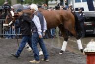 Kentucky Derby and Preakness Stakes winner American Pharoah arrives at Belmont Park in Elmont, New York June 2, 2015, as trainer Bob Baffert looks on (R). REUTERS/Mike Segar