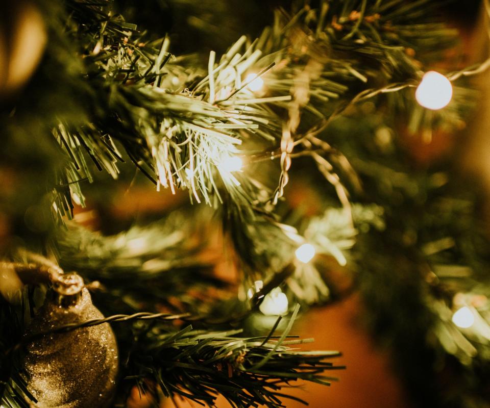 A close up of LEDs on a Christmas tree