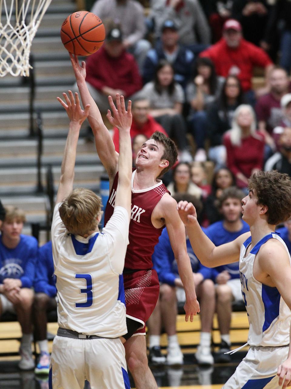 Newark senior Grant Burkholder is The Advocate Boys Basketball Player of the Year. He led the Wildcats to a Division I district championship.